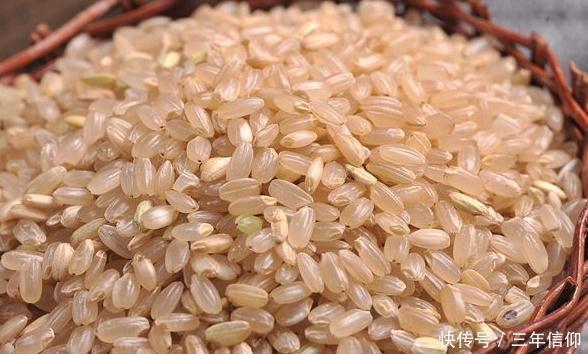 营养|最养人的几种米,成本不到1块钱,营养美味,还提高免疫力