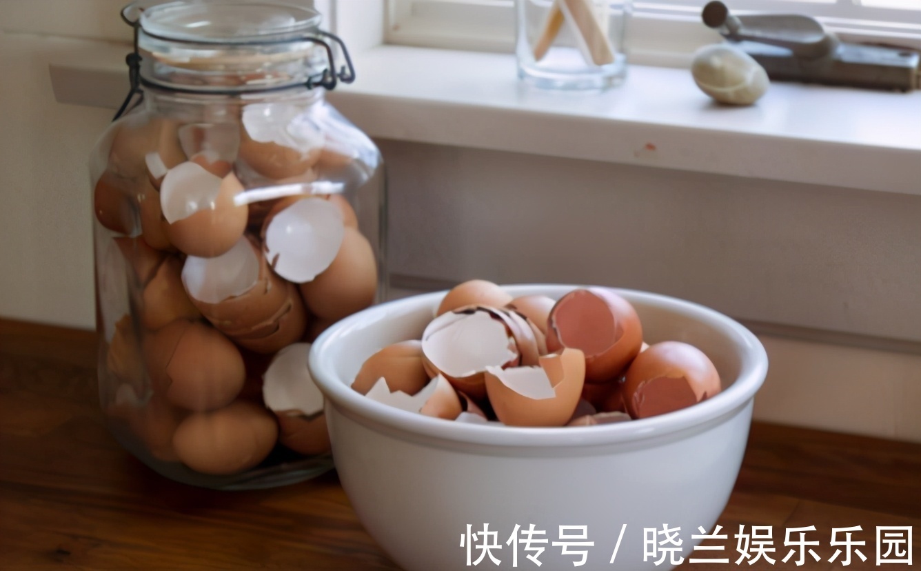 肥料|蛋壳的营养、制肥方法、养花的好处，大家知道多少？