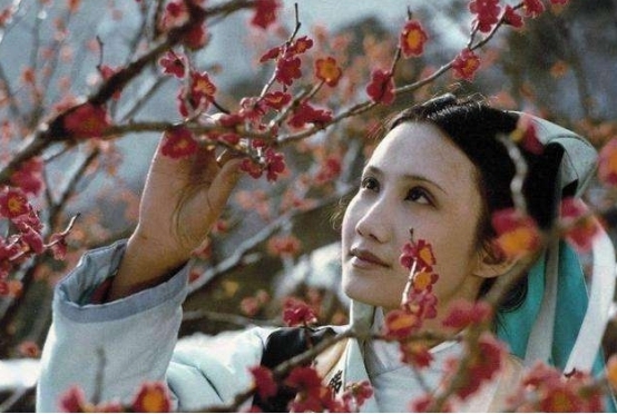 红楼梦!《红楼梦》这三个女子被卖入花街柳巷中,唯有她没有被糟蹋