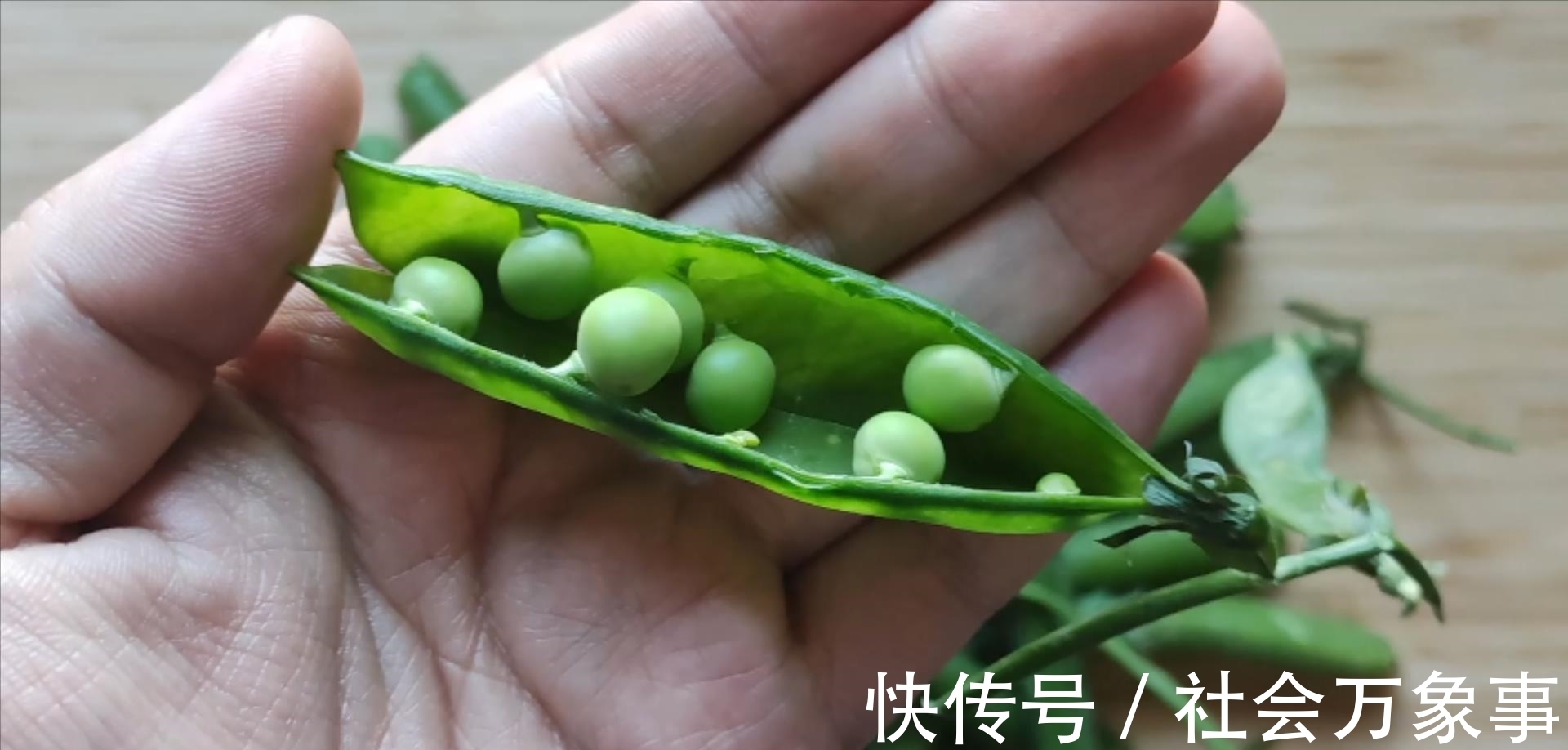 天热|10种夏季应季绿色蔬菜,含锌量媲美猪肉,还不打药,天热可以多吃