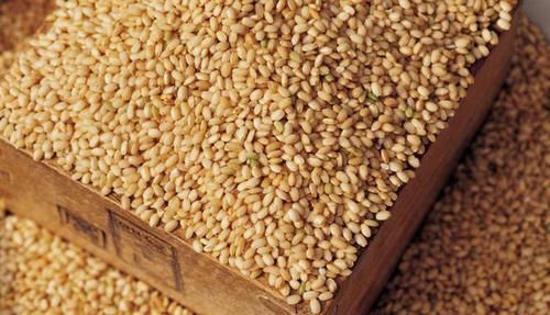 热量|有4种主食，热量低，脂肪低，代替馒头米饭，难怪怎么吃也不胖