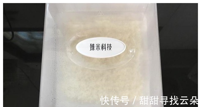 糯米|想吃烧卖不用买,教你在家做,面都不用揉,皮薄馅大,一屉不够吃!