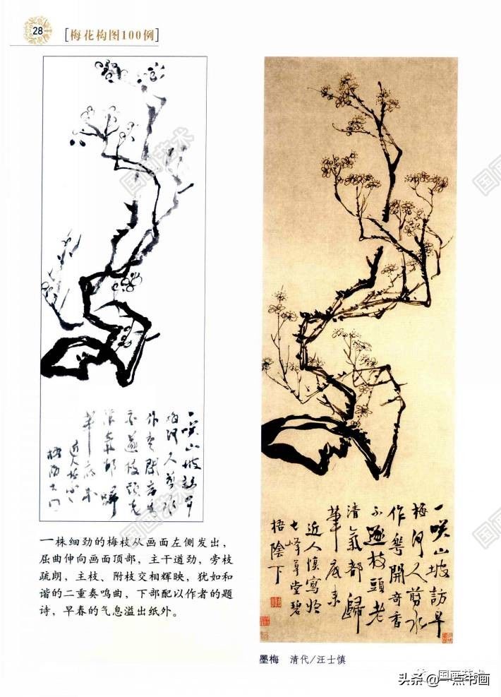 梅花构图100例（2）