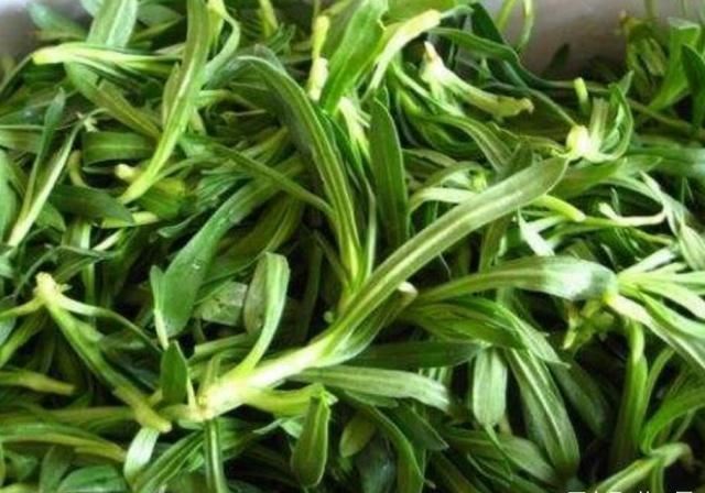 爱人们|乡下一种野菜，营养十分丰富，用来粉蒸最好吃了，食用价值高