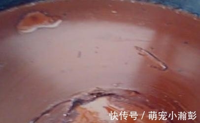 芝麻香油不用出去买了，10块钱在家做2瓶，香味浓郁无添加