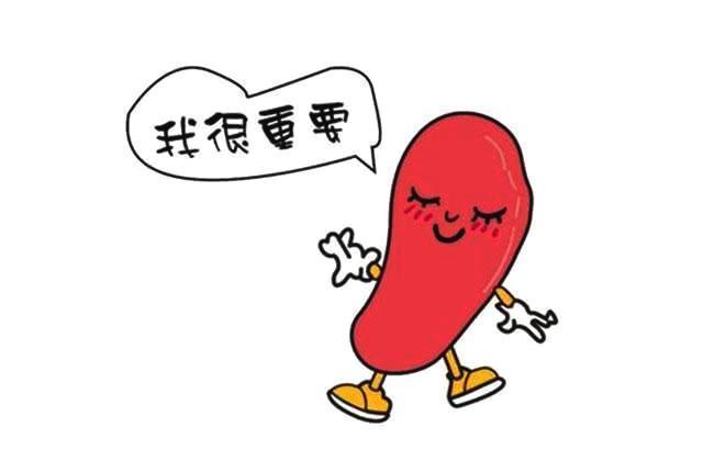 脾虚的人,很容易被一眼看出来!往这几个地方一看,自然一目了然