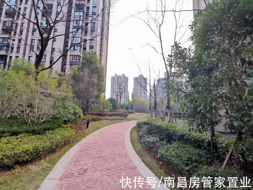 套房产|来了！红谷滩南师附小学区房，降价70万起拍，单价不到一万二