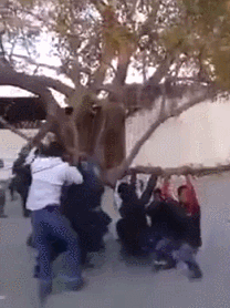 |搞笑GIF:好尴尬 气氛突然变得探戈起来