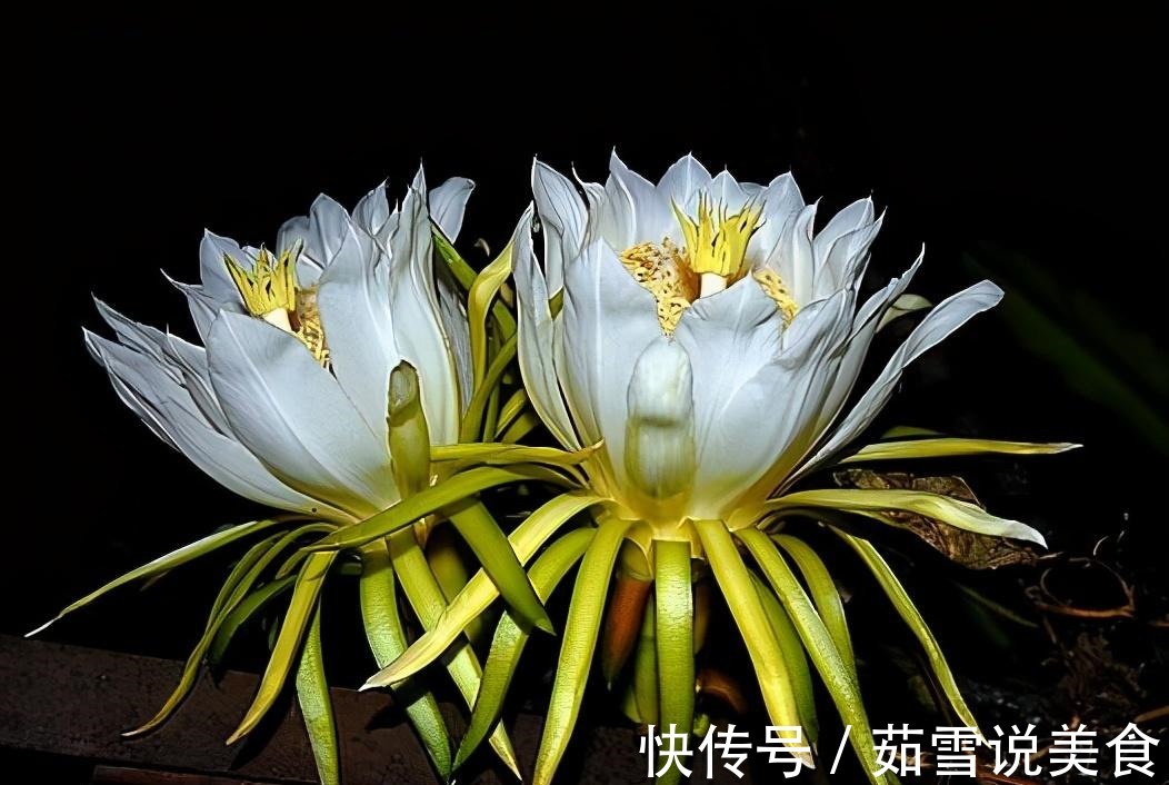 延缓衰老|女人不想有皱纹,常吃三种食物,祛皱养颜、延缓衰老、滋养肌肤