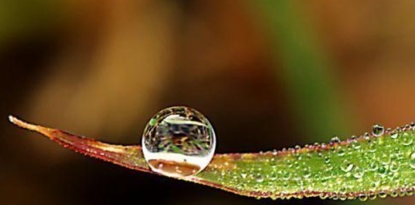 细水长流|一个家庭走向兴旺的4个征兆,你家若有一个,就要恭喜了