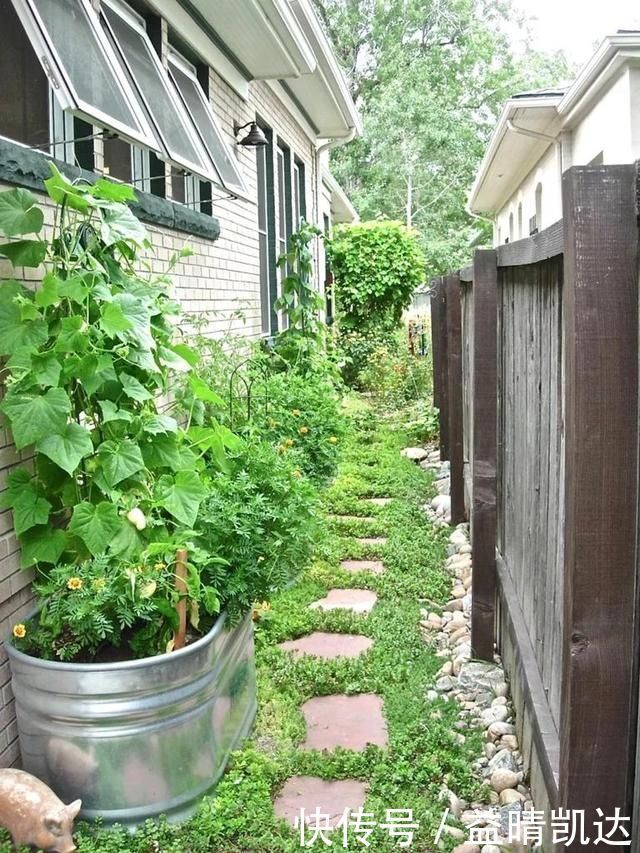 现在有个菜园才是人生赢家,450㎡可食用花园,实现你的吃货自由