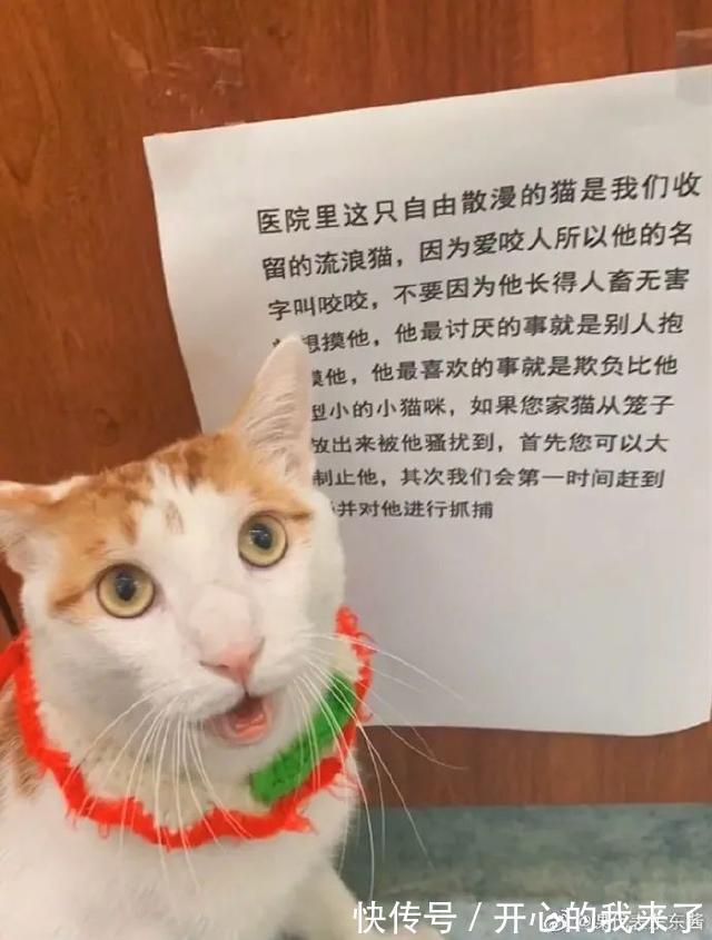 |希望有个人能看透我不是真正的快乐 冷段子1614