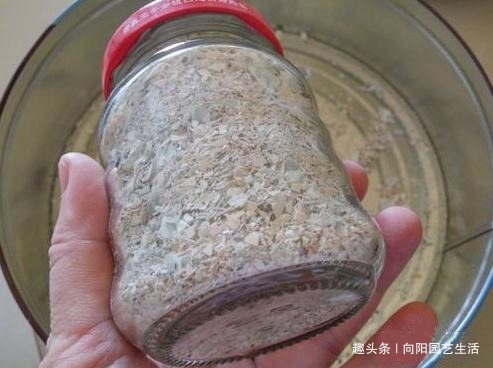 鸡蛋壳是宝贝，养花达人都在用，做成花肥养花，还能杀虫灭菌