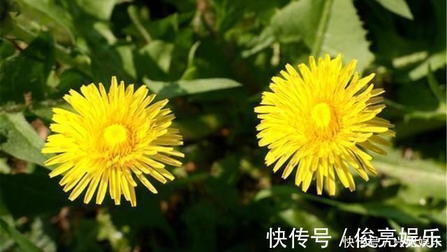 血管健康|一旦查出高血压,忌口2白,摒弃3习,做好4事,血压慢慢回归正常