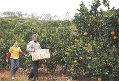  缤纷|追秋去 彩叶缤纷如打翻调色板