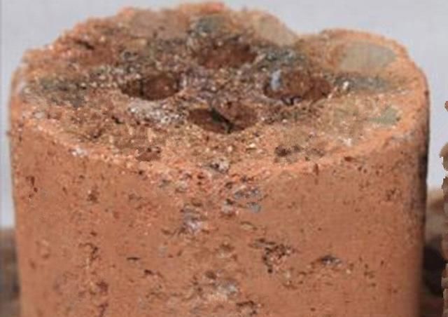 花土|养花怕浇水多了烂根,盆里放几样东西,再也不怕水多烂根了