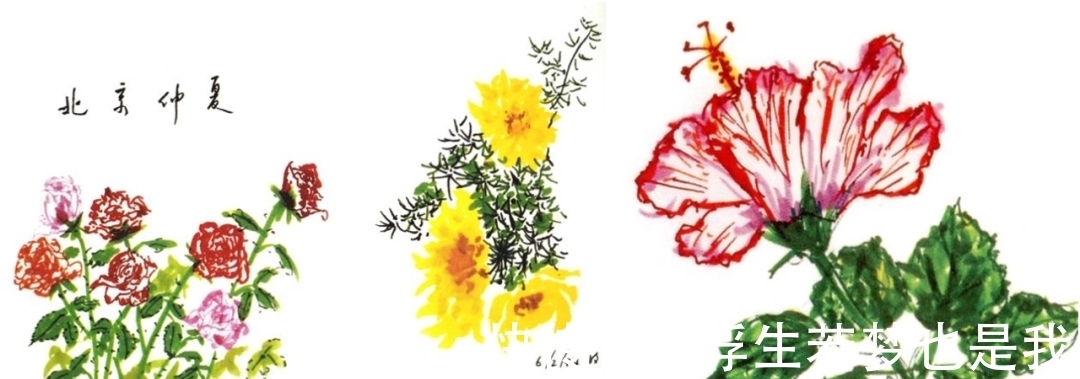 马约拉纳!李政道先生的诗情画意|左图右史