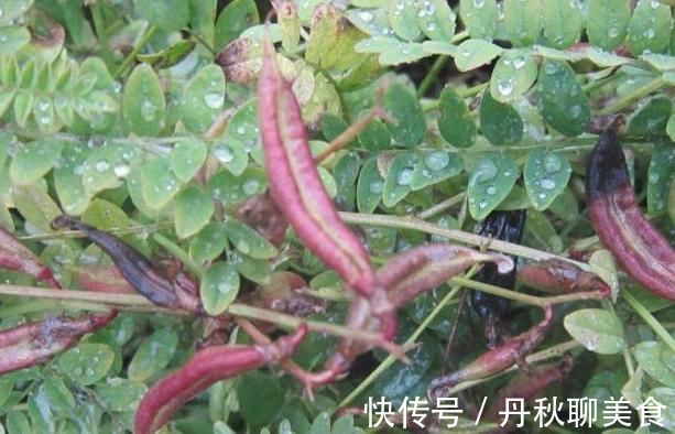 男性|男性想养肾,开水加“一宝”,坚持喝7天,让肾脏更轻松