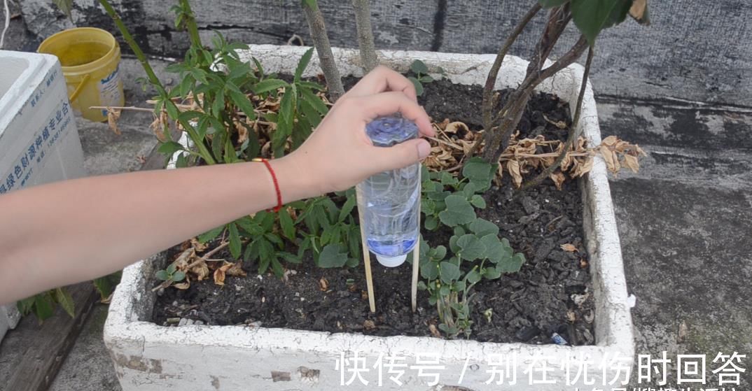 筷子|塑料瓶上绑2根筷子, 这个作用太棒了, 解决了很多家庭的烦恼