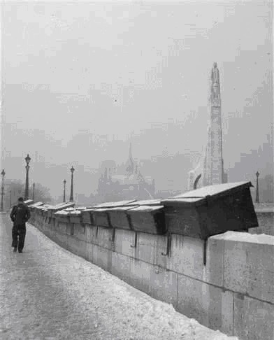 书箱|绿皮小书箱这次真的要消失了?!塞纳河将失去她的灵魂!