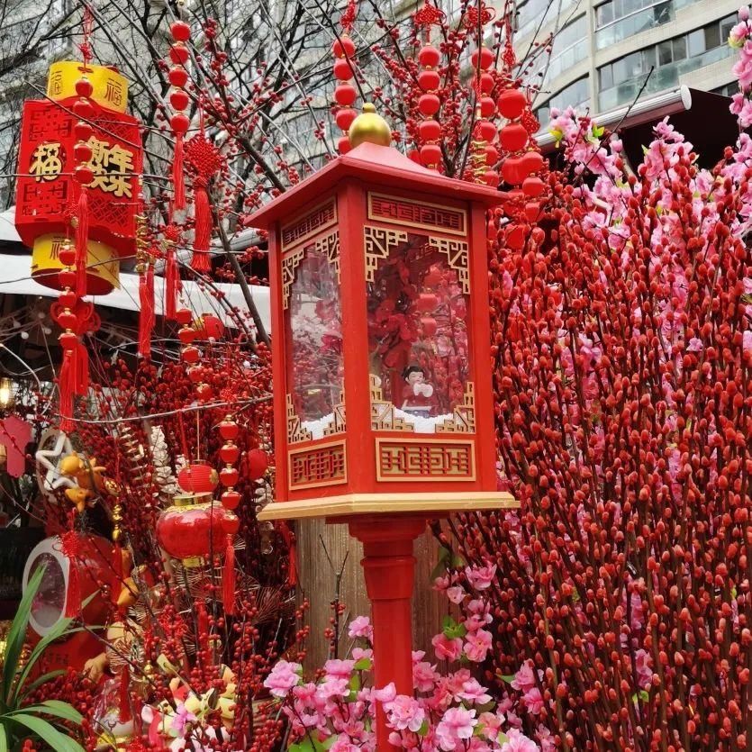 花市散发浓浓年味，这家店天天上新“应景”花！