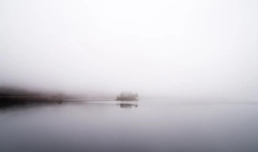 树上的男爵&苏轼最通透的一首词,最后两句,让人豁然开朗