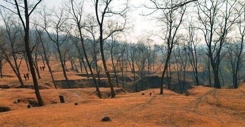 葡萄酒|叶茂台发现辽代陵墓,出土装有千年葡萄酒的瓷瓶,专家还尝了一口