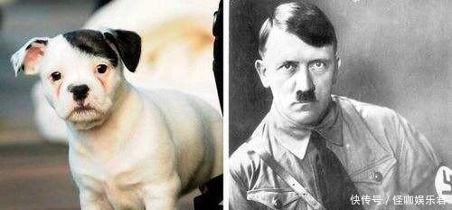 啤酒店|啤酒店暴动纳粹的大规模夺权!