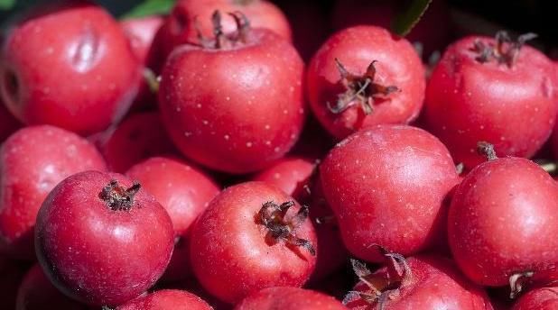 高血压人群|高血压人群，牢记常吃3种“碱性食物”，血压平稳，还预防3高！