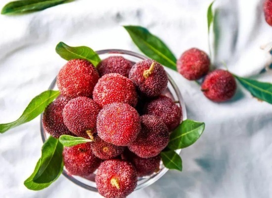 花青素|盘点那些夏季营养健康又便宜的水果，不看这篇文章真的太可惜了!