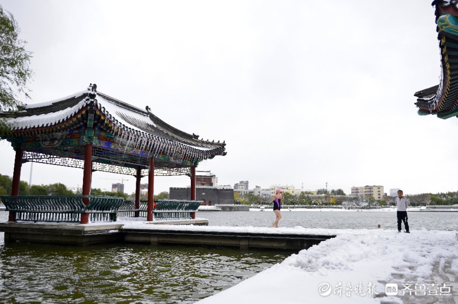 德州平原县|雪景丨德州平原县琵琶湾公园里白雪和绿树相映成趣，美得不得了