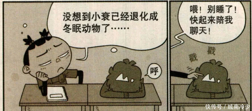 《阿衰》阿衰沉睡不醒，原来是“冬眠”了……