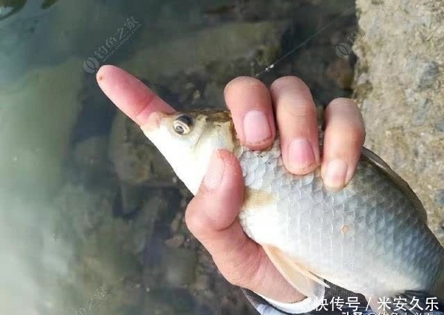 钓鱼从调漂开始，简单的调漂，从浮漂了解双钩水底状态