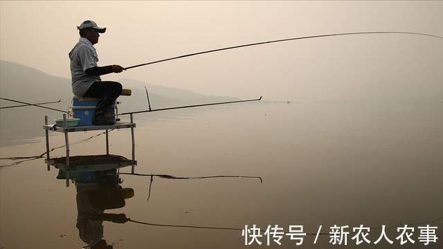 广东一江边现职业钓鱼人，鱼类齐全渔获多，有人一天能挣四五百元