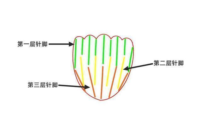  母亲节送给母亲的花朵，应让它从我们的手中盛开，康乃馨花朵教程