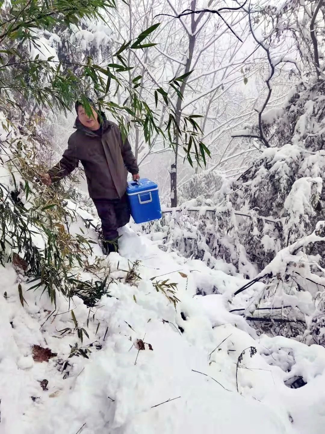 采样点位|一图一故事丨爬雪采样忙