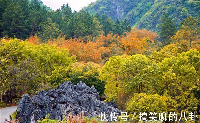 水帘洞|广东秋景“最美”景区，藏在粤北山城里，层林尽染，尽显秋季本色