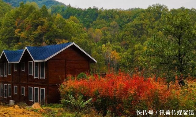 老年|河南又一景区走红,风景绝美不输老君山,有洛阳“后花园”之称