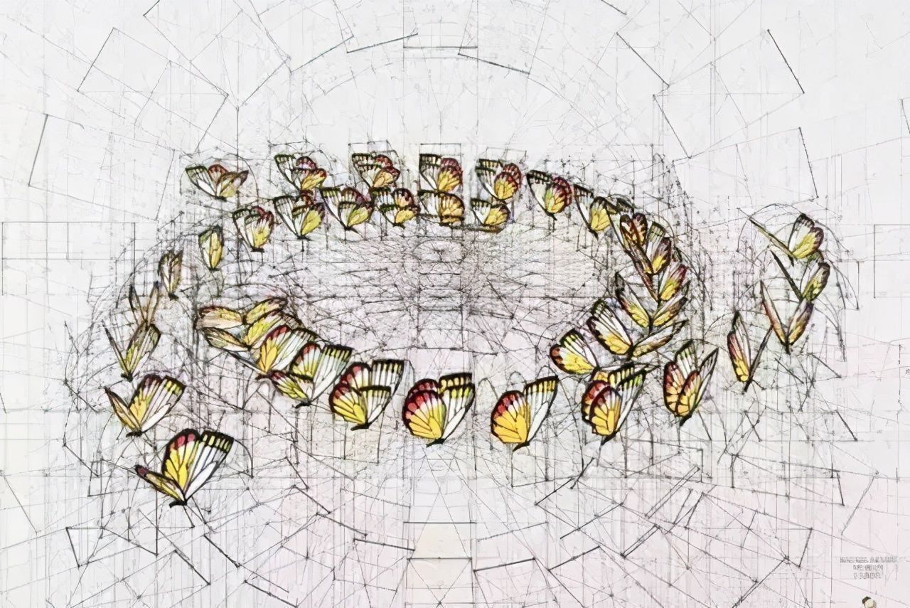 黄金比例!理工男花40年时间,用圆规画1000张画,黄金比例的拥护者