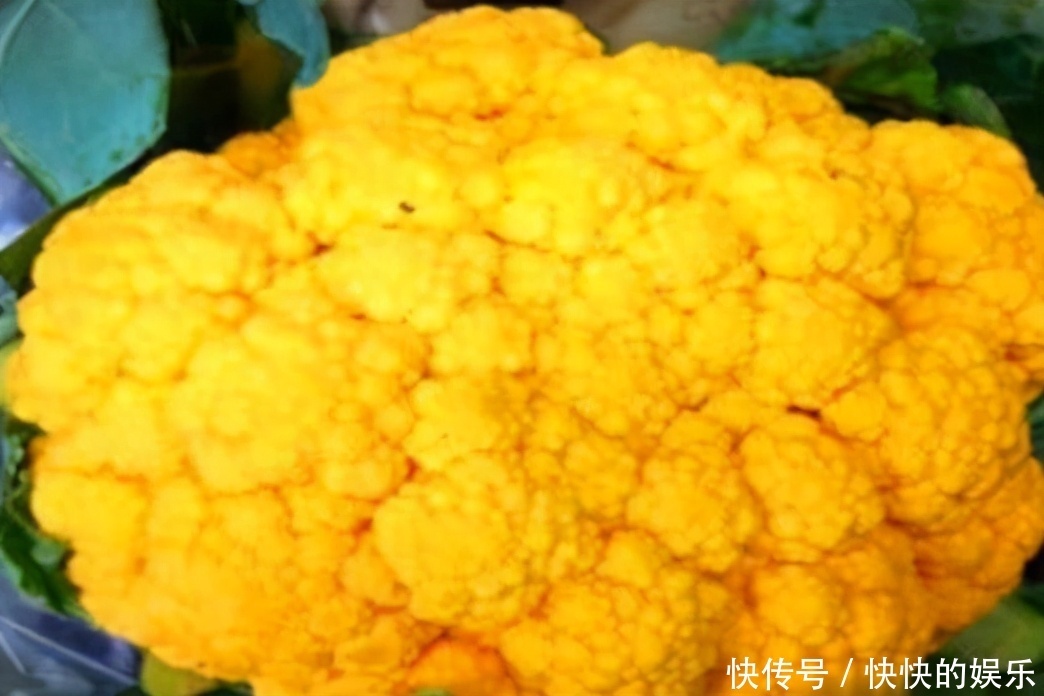 冬季养生正当时，3种食物不可少，补充营养，身体棒棒哒