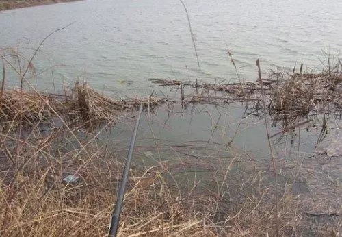 冬季钓鱼首先的几个钓位,不愁钓不到鱼