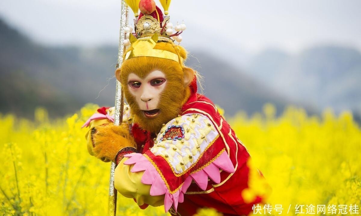 松树|孙悟空变棵松树就被师父撵下山,松树有何禁忌?许多人至今没搞懂