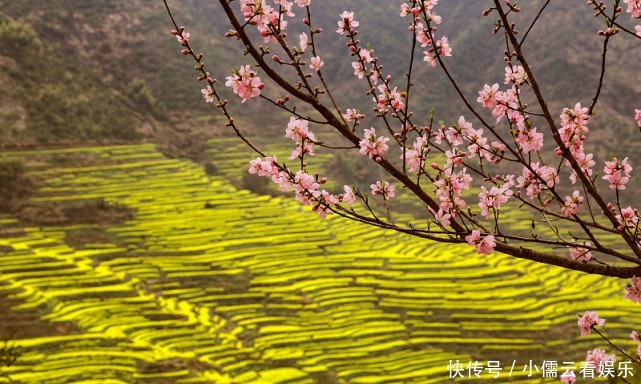 大唐|阳春三月，春回大地，三月赏花好去处