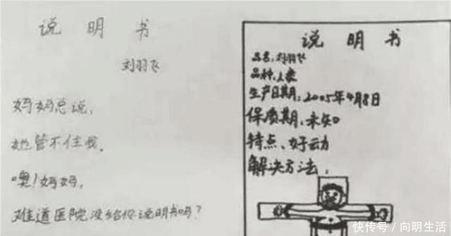 想象力|小学生的“打油诗”火了,宝妈看后气得直跺脚快拿我的鸡毛掸子