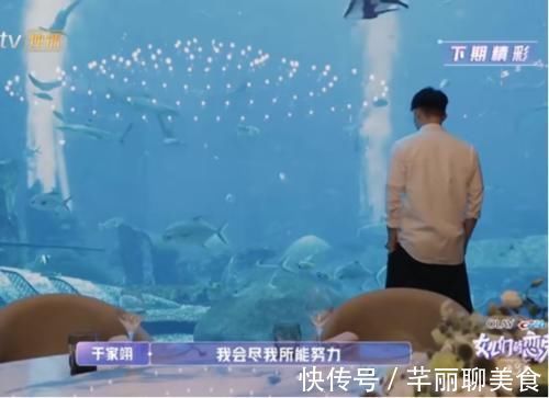 張豆豆|金晨、金莎拒絕繼續(xù)約會,張豆豆這對雖然有爭執(zhí),但還會繼續(xù)下去