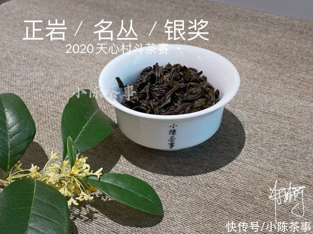  岩茶|一口气喝到正岩茶村的名丛金、银、优质获奖茶，是什么样的体验？