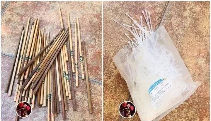 塑料瓶|旧筷子、老干妈瓶别扔,拿来养花效果好,省下一笔养花钱