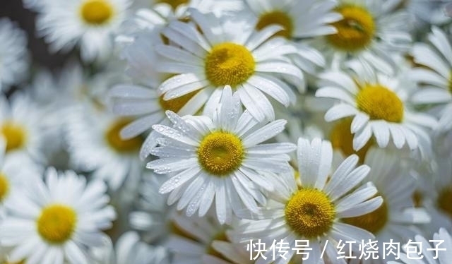 旧爱|思念不减,良缘天赐,真爱降临,不再犹豫,与旧爱重温从前