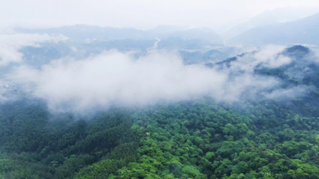 黄浦江源|安吉这个坐拥山野世外之地的民宿，泳池、茶园丨尧珈·清水谷民宿