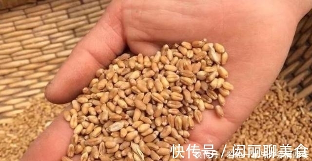 蚯蚓“万能”饵,只需按我说的用,不吹不黑,钓上的鲫鱼都很大
